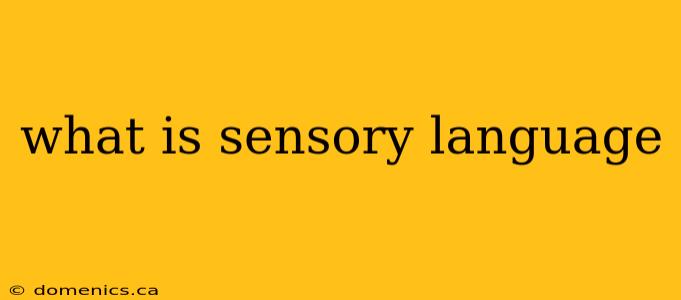 what is sensory language