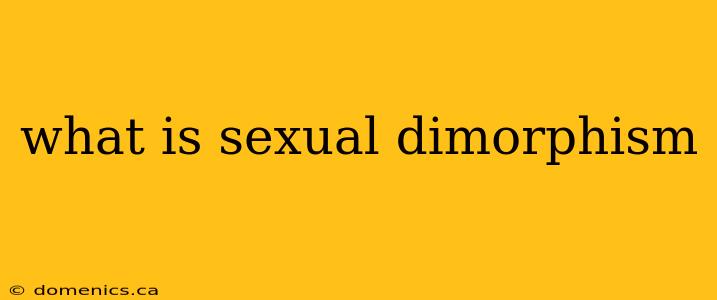 what is sexual dimorphism