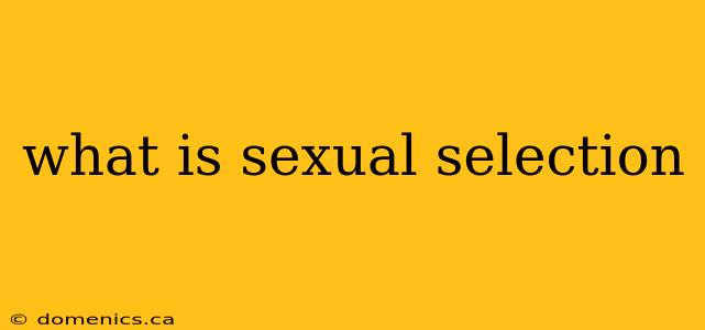 what is sexual selection