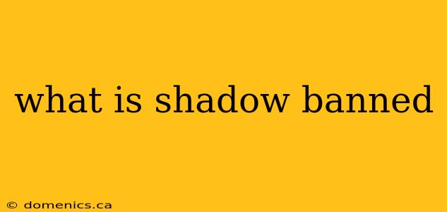 what is shadow banned