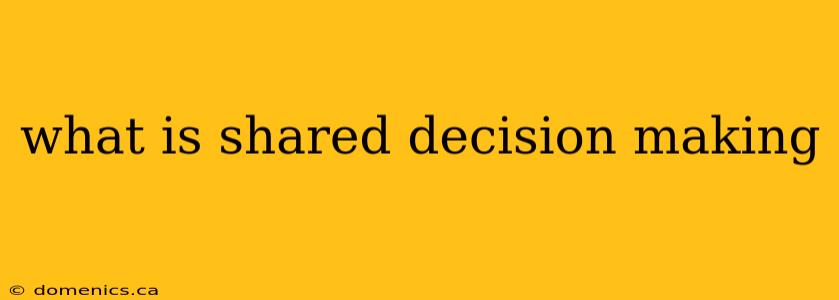 what is shared decision making