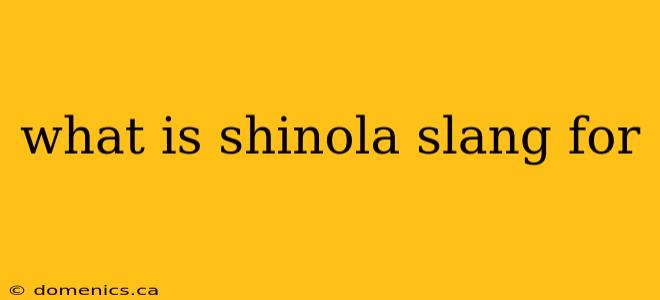 what is shinola slang for