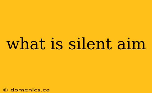 what is silent aim