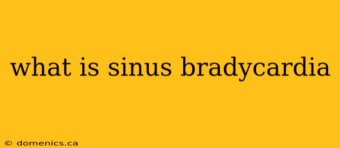 what is sinus bradycardia