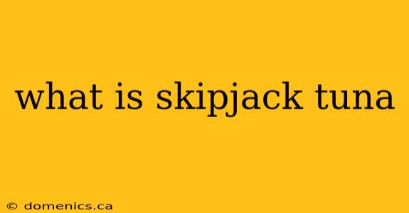 what is skipjack tuna