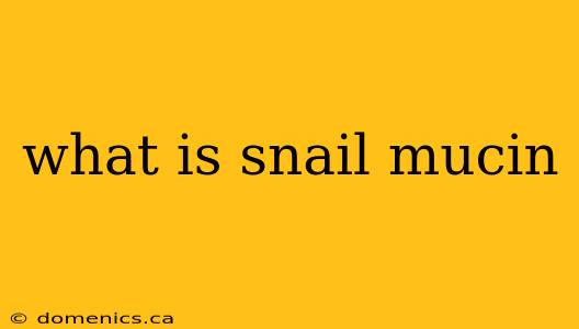 what is snail mucin