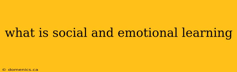 what is social and emotional learning