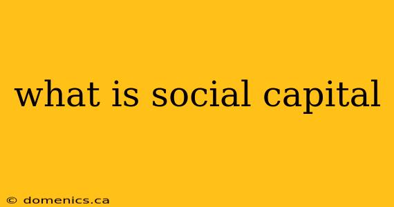 what is social capital