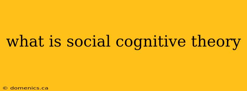 what is social cognitive theory