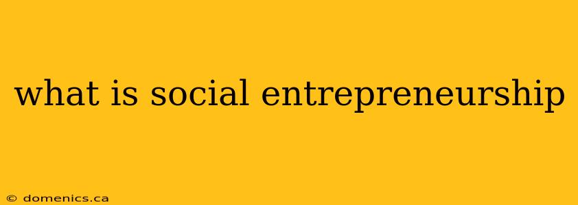 what is social entrepreneurship