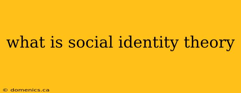 what is social identity theory