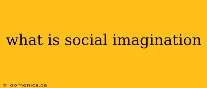 what is social imagination