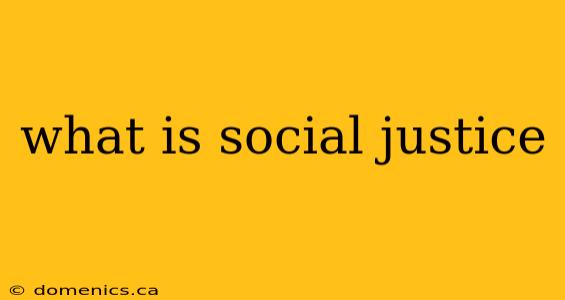 what is social justice