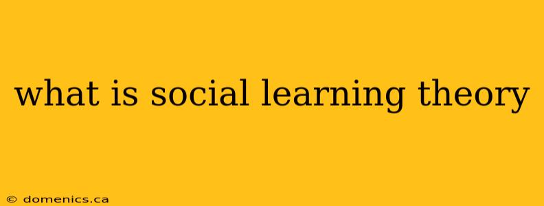 what is social learning theory