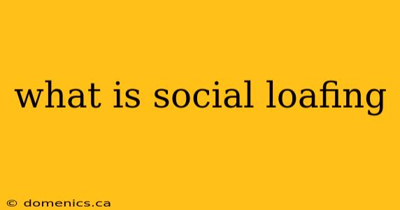 what is social loafing