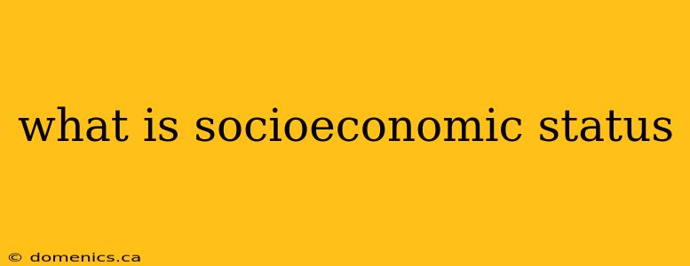 what is socioeconomic status