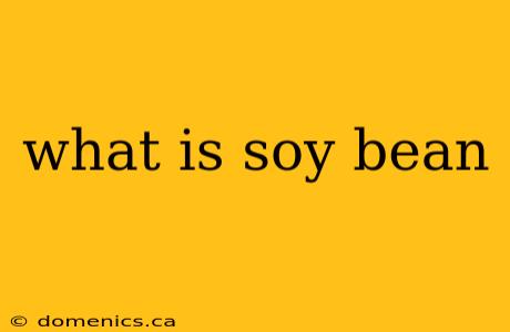 what is soy bean