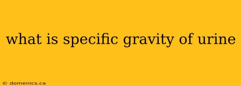 what is specific gravity of urine