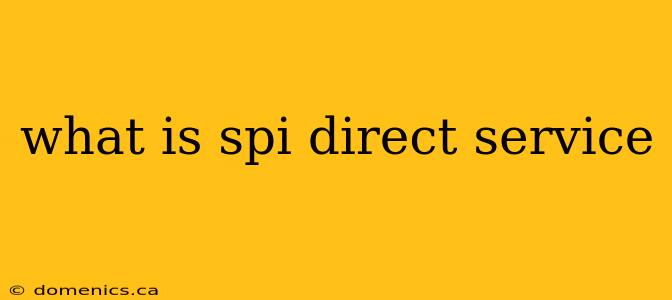 what is spi direct service