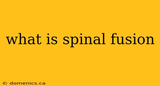 what is spinal fusion