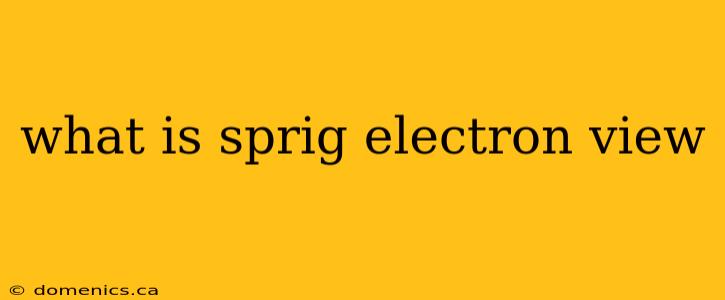 what is sprig electron view