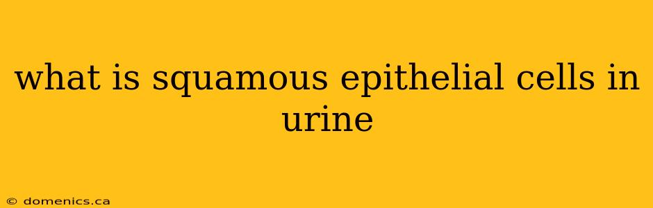 what is squamous epithelial cells in urine