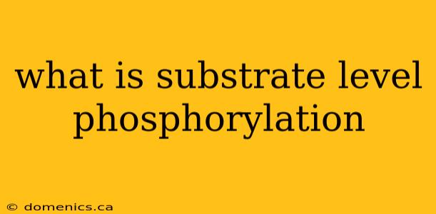 what is substrate level phosphorylation