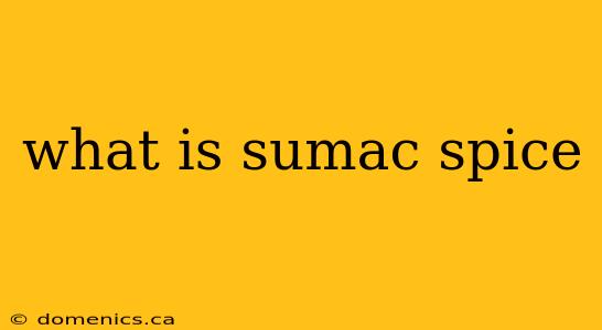 what is sumac spice