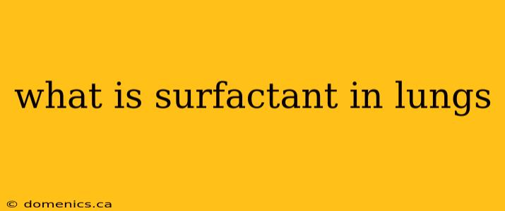 what is surfactant in lungs