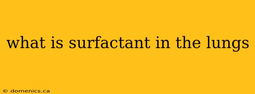 what is surfactant in the lungs