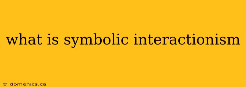 what is symbolic interactionism