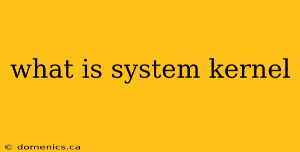 what is system kernel