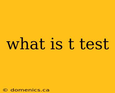 what is t test