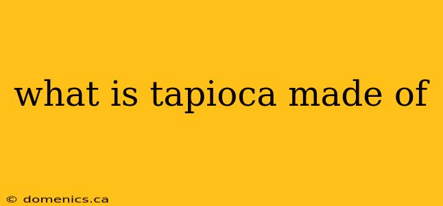 what is tapioca made of