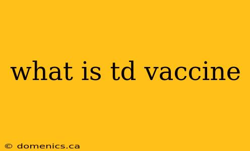 what is td vaccine