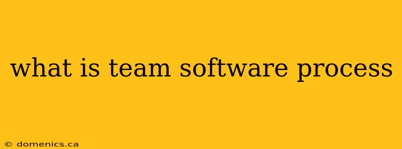 what is team software process