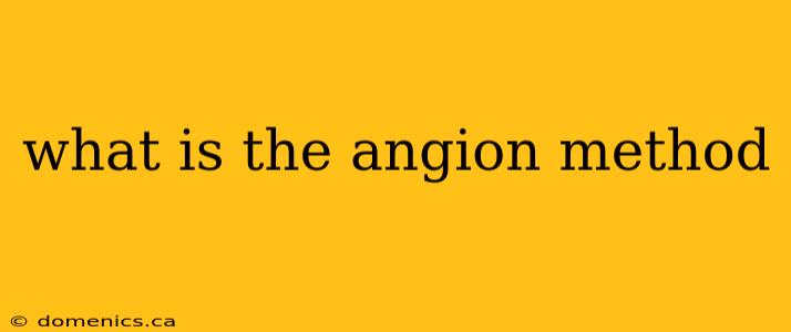 what is the angion method