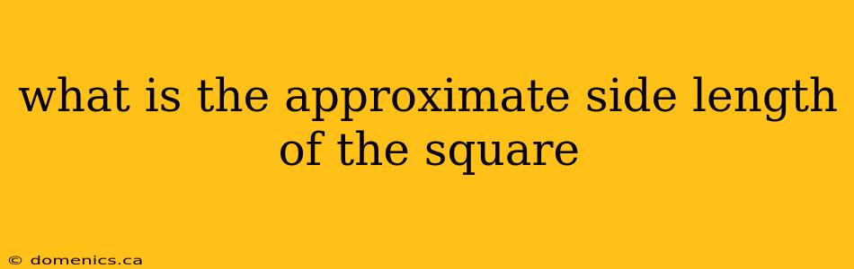 what is the approximate side length of the square