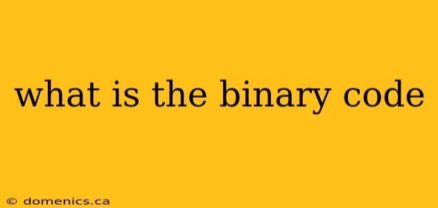 what is the binary code