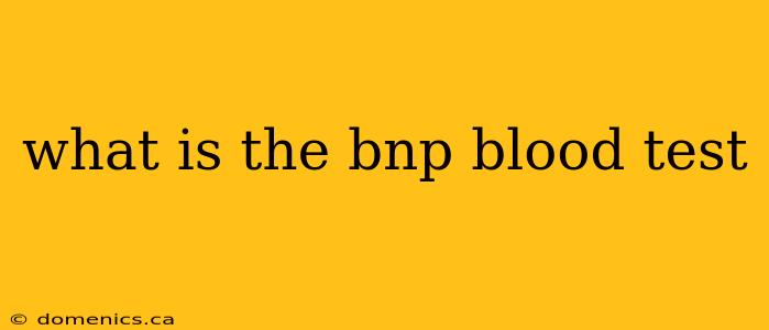 what is the bnp blood test