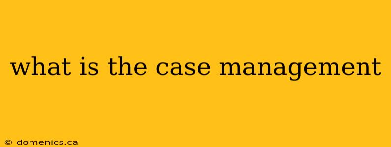 what is the case management