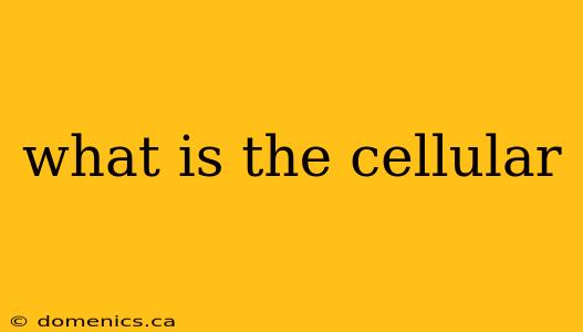 what is the cellular