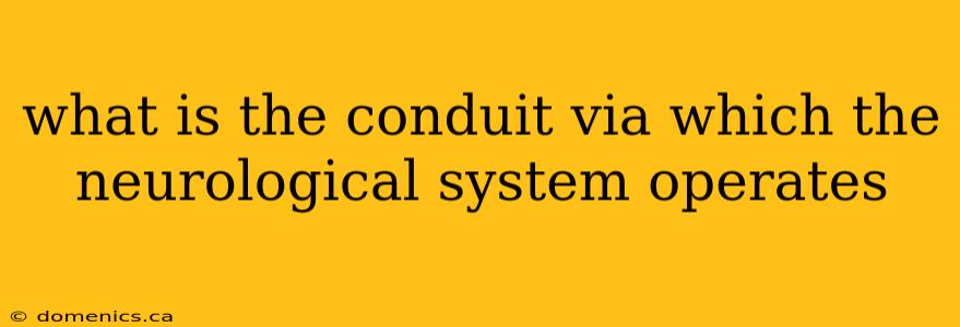 what is the conduit via which the neurological system operates