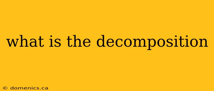 what is the decomposition