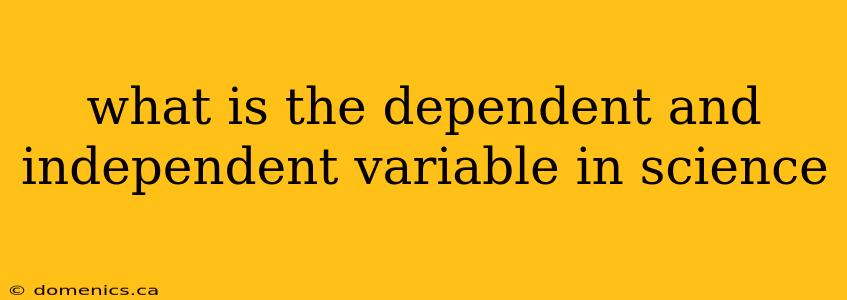 what is the dependent and independent variable in science