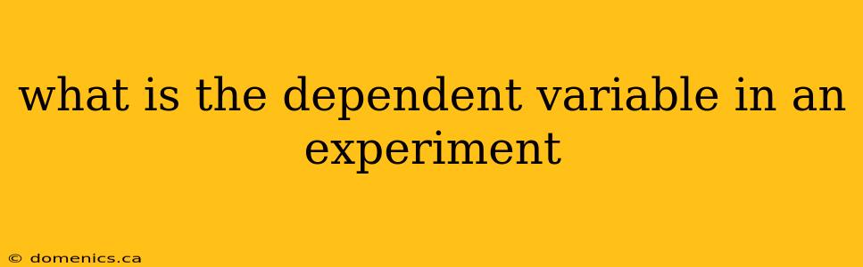 what is the dependent variable in an experiment