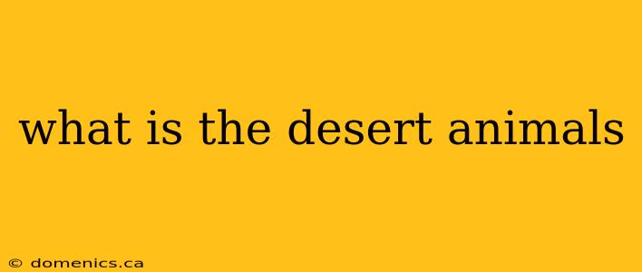 what is the desert animals