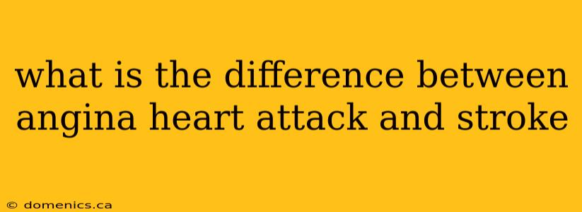 what is the difference between angina heart attack and stroke