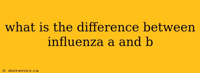 what is the difference between influenza a and b