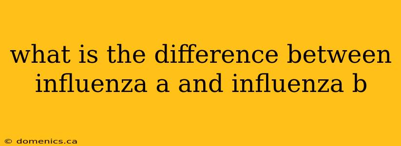 what is the difference between influenza a and influenza b